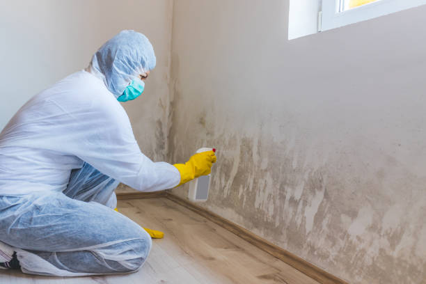 Hvac And Air Duct Mold Remediation inspection of HVAC system in Lincoln